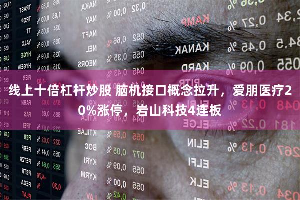 线上十倍杠杆炒股 脑机接口概念拉升，爱朋医疗20%涨停，岩山